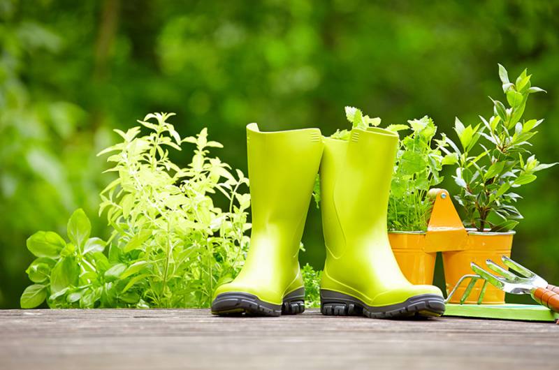 nettoyage jardin ploermel